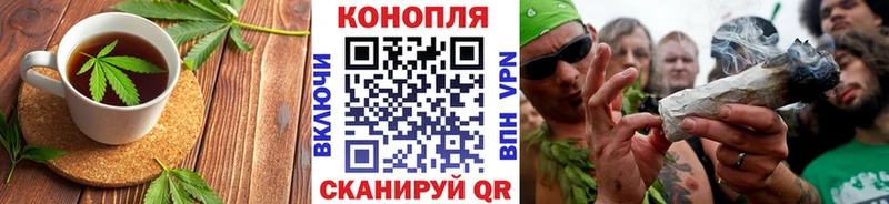 закладка  Грайворон  Cannafood конопля 