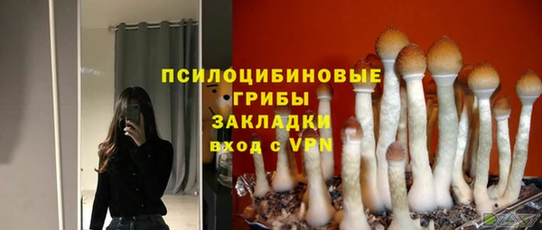 шишки Алексеевка