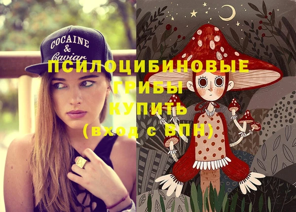 герыч Алзамай