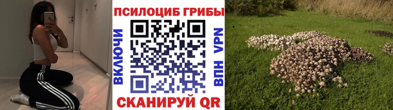 Псилоцибиновые грибы Magic Shrooms  Грайворон 